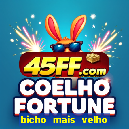 bicho mais velho da loteria dos sonhos